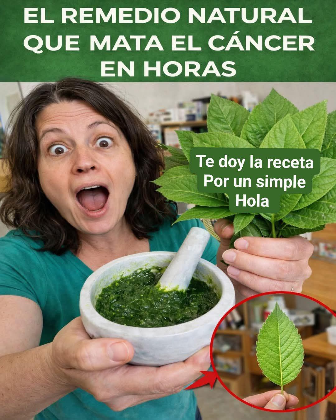 La hoja que DESTRUYE las células cancero.. ver mas