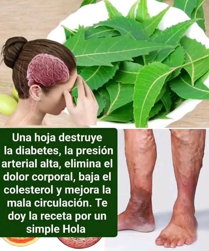 Hojas de Neem para Mejorar Tu Salu..ver mas