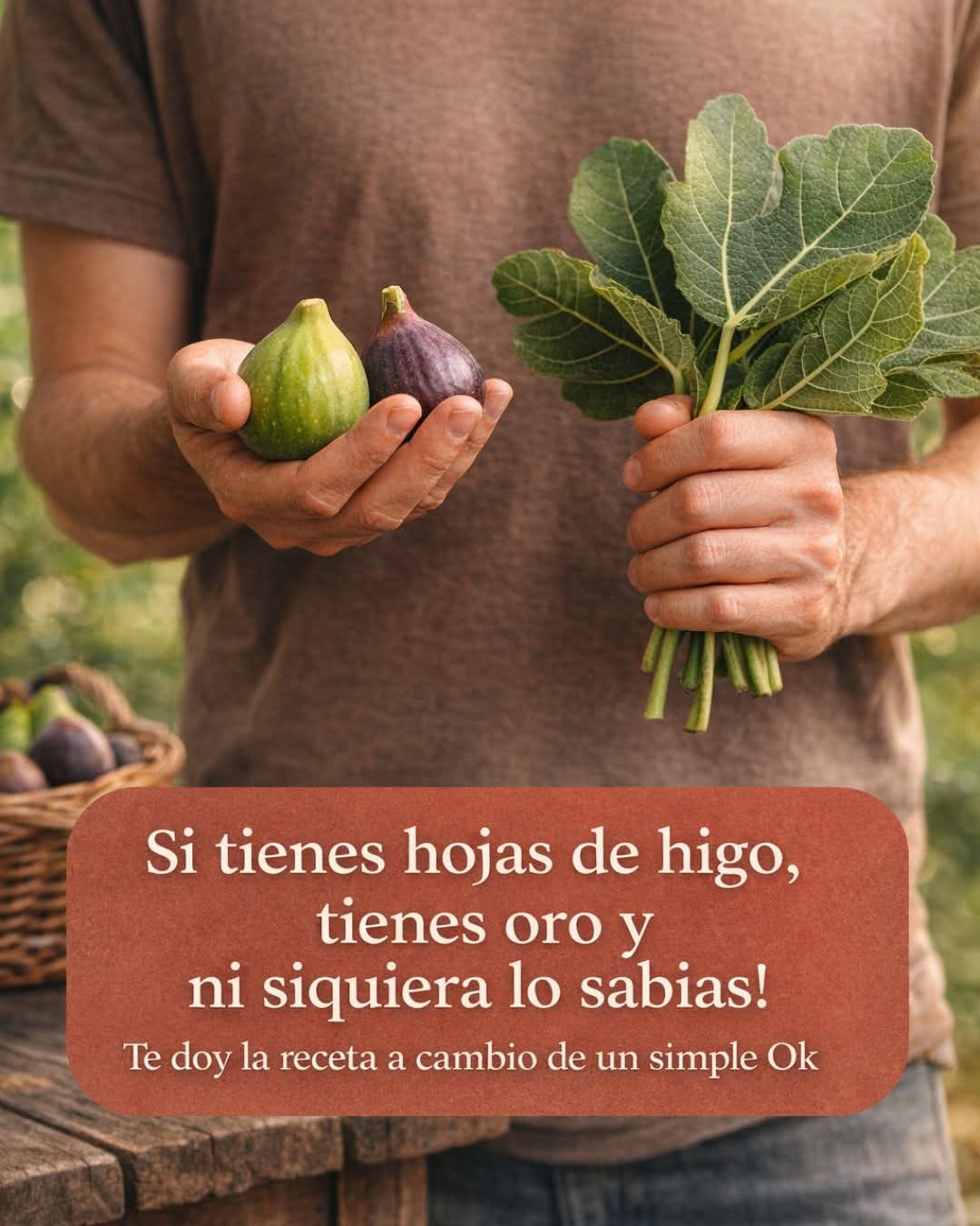 El poder curativo de las hojas de higo: 20 beneficios y recetas natura..ver mas