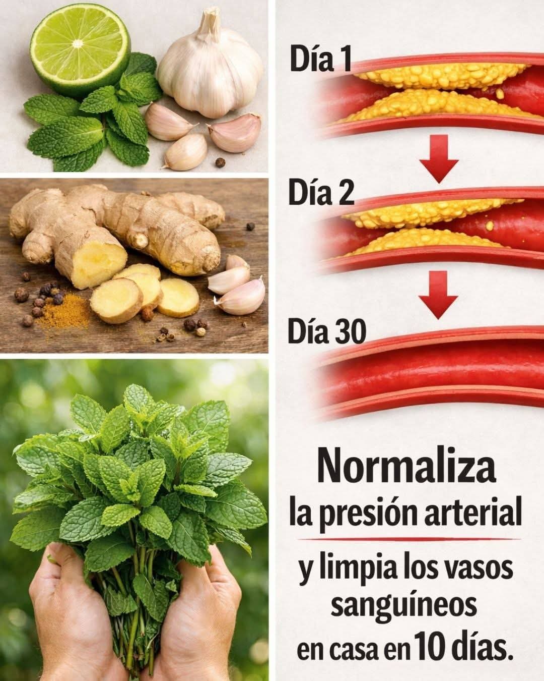 Dile adiós a las arterias obstruidas con estos poderosos alime..ver mas
