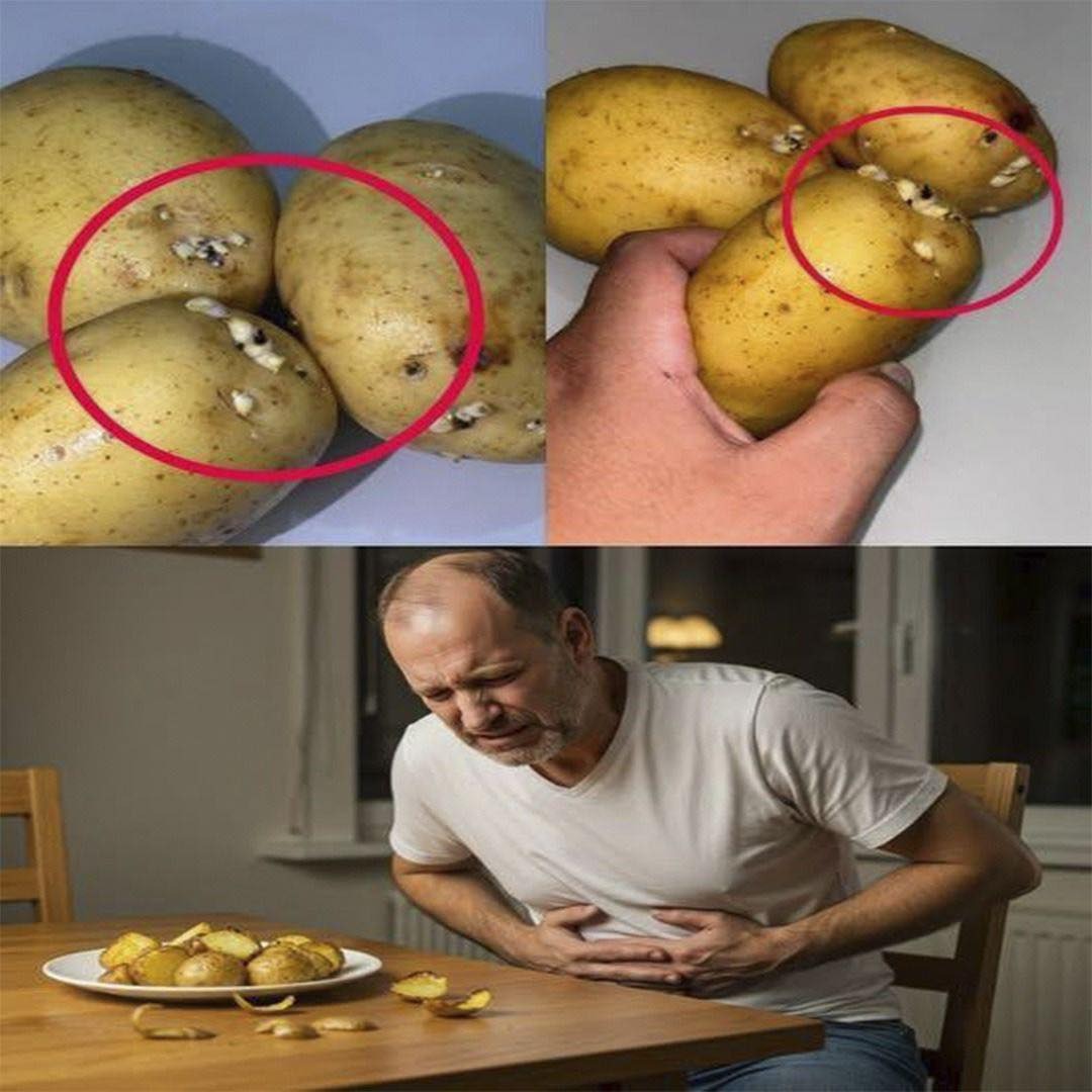 Papas con brotes: Un riesgo oculto para la salu99…ver más