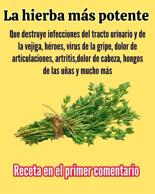 ¿La Conoces? La hierba más poten…ver más