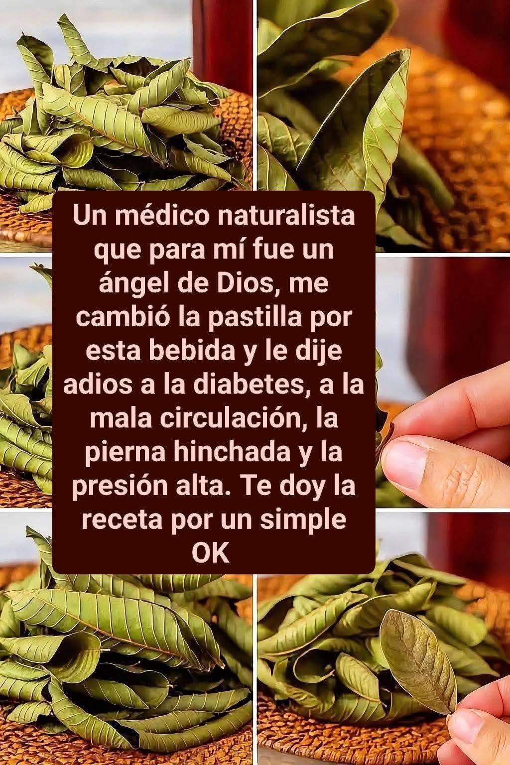 Laurel y Canela: Una combinación poderosa para tu sal.. ver mas