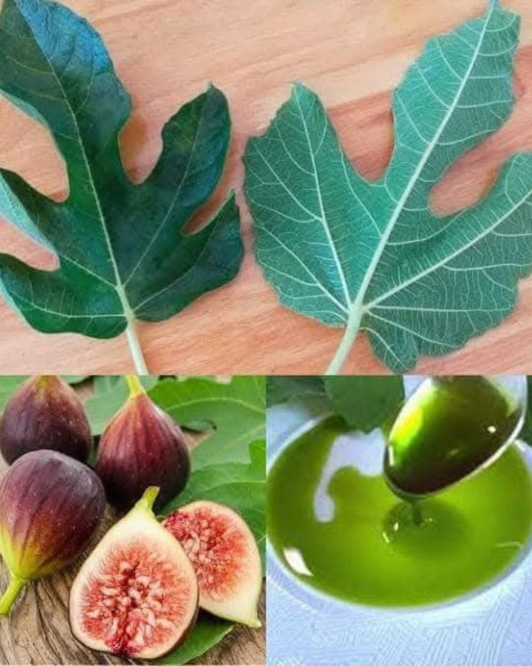 1 hoja de higo al día mantiene alejado al me…Ver mas
