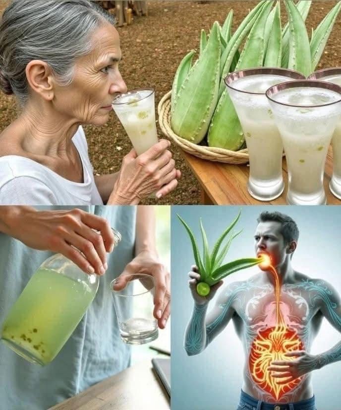 11 razones para beber agua de Aloe Vera todos los días + ¿Cómo hacerla?…Ver más