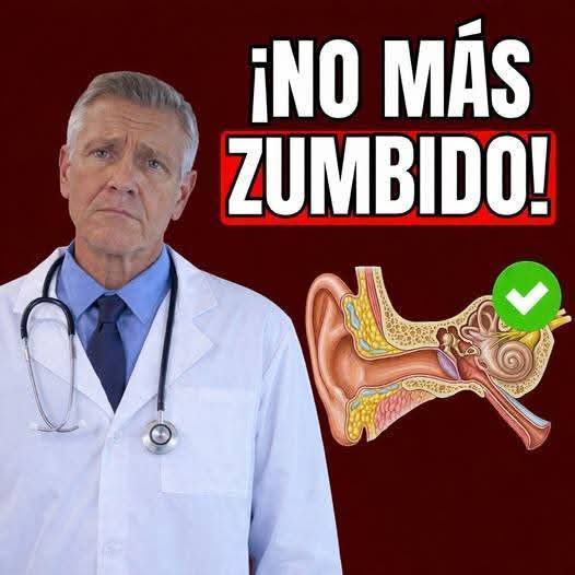 Si te zumban los oídos todo el tiempo, a tu cuerpo le falta esto. … Ver más