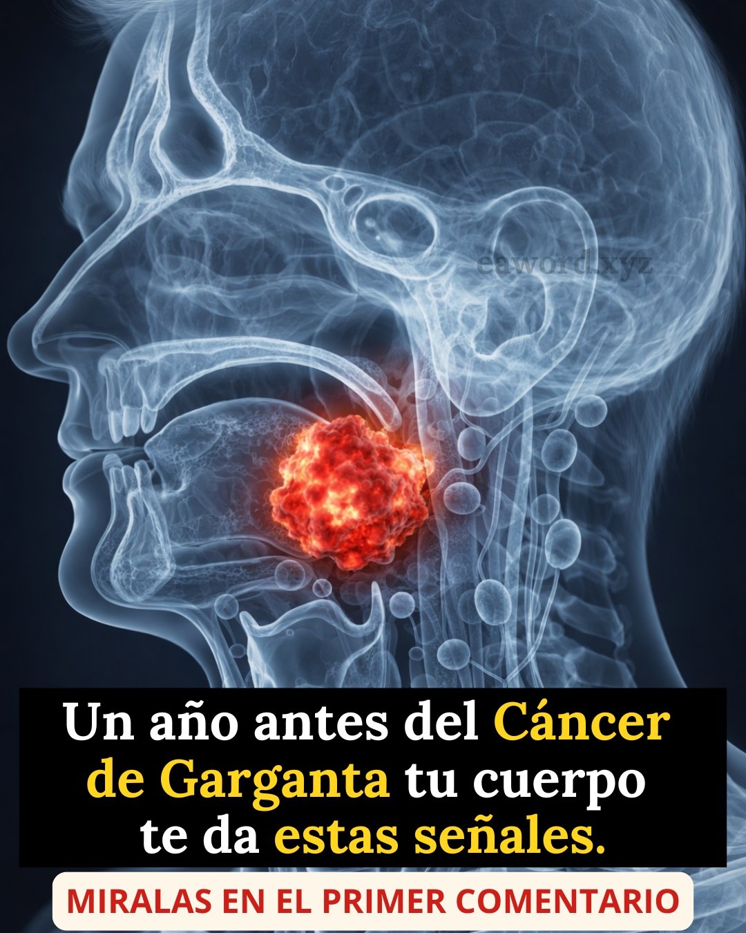 Médicos afirman que puedes tener cáncer de garganta si haces mucho se…Ver Mas