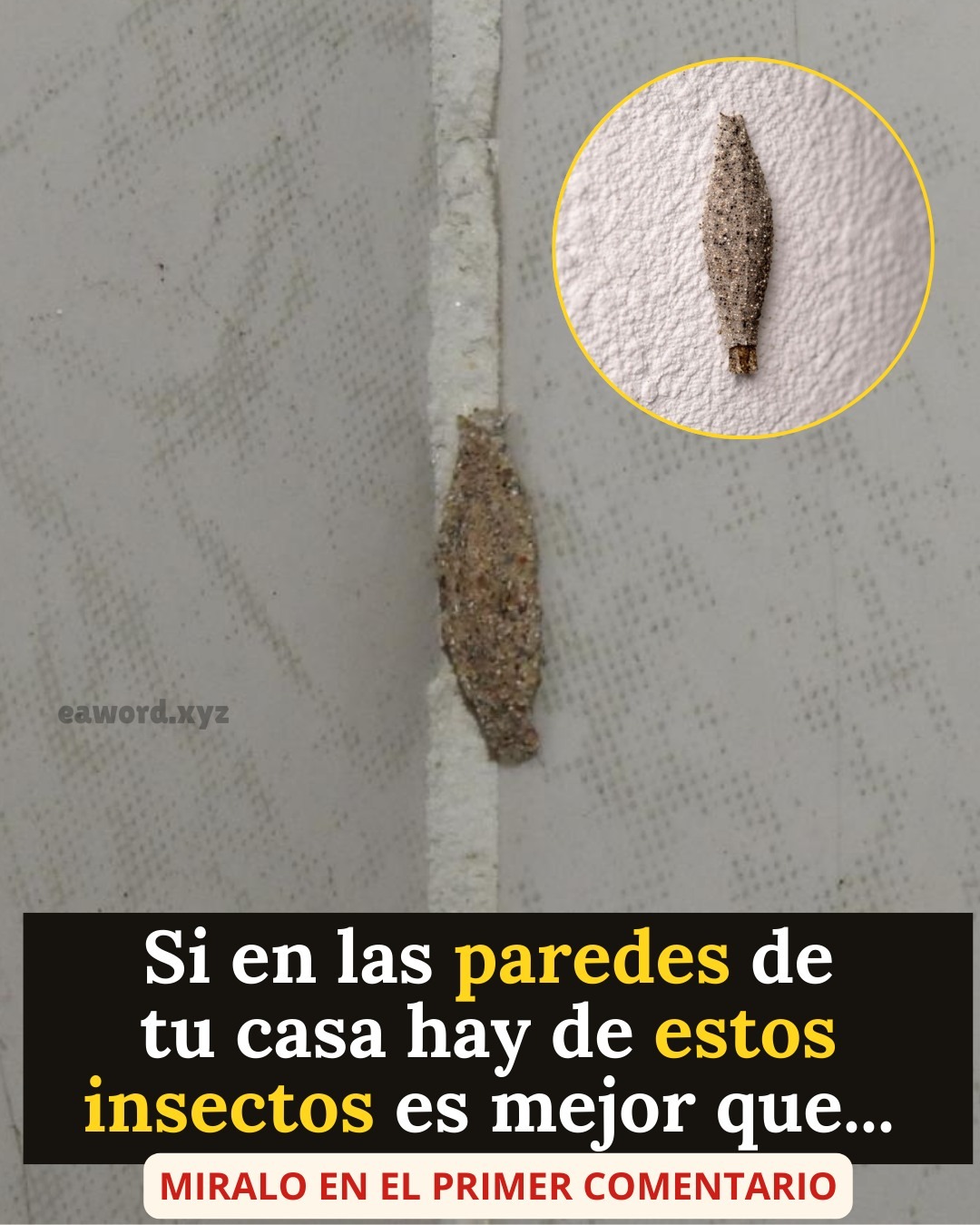 No sabía que eran eso 😨 Revisa el 1er comentario… Ver más