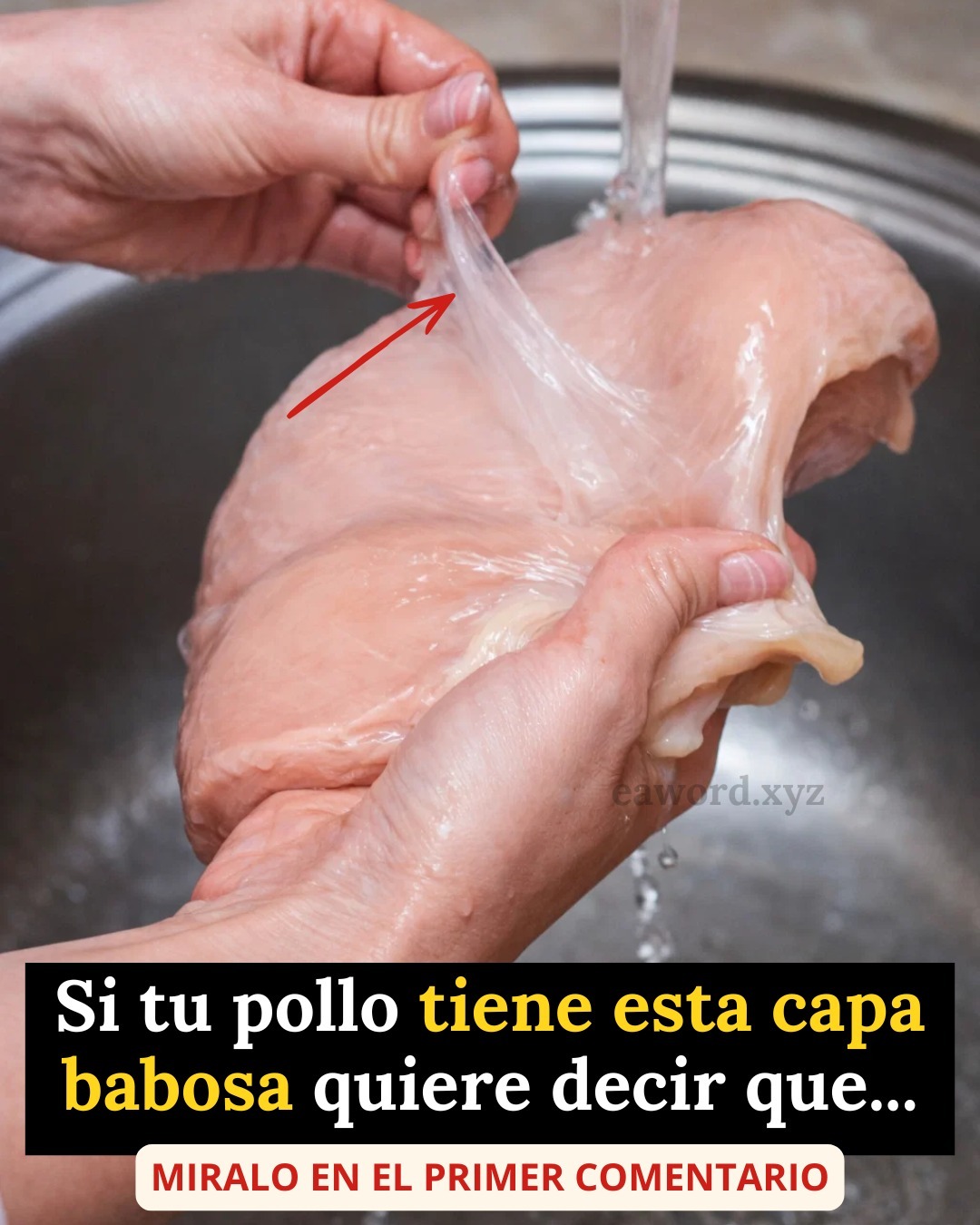 Lo que en realidad es la capa babosa del pollo te… Ver más