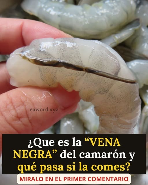 Lo que en realidad es la vena del camaron te… Ver más