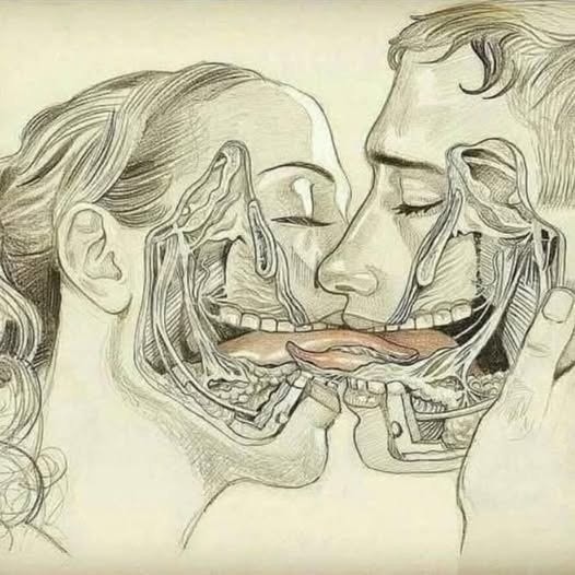 LO QUE PASA CUANDO NOS BESAMOS CON LENGUA… Ver más