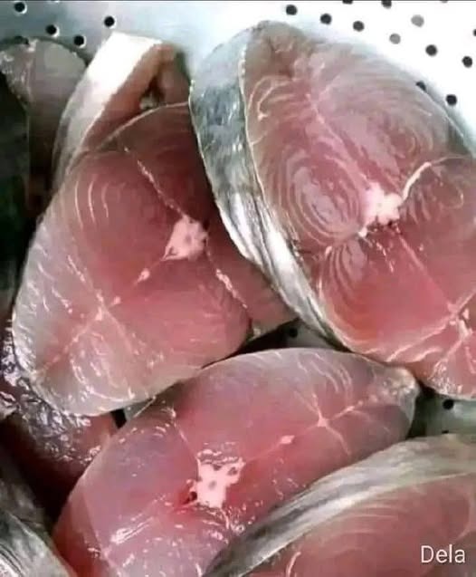 Medicos avisan, comer pescado eleva la… Ver más