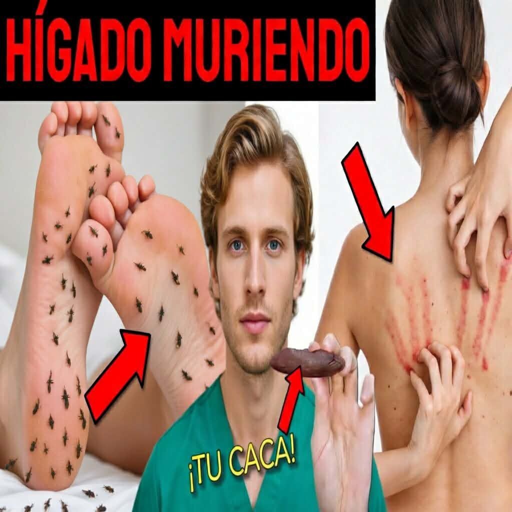 🚨Señales tempranas de daño hepático que no sab… Ver más