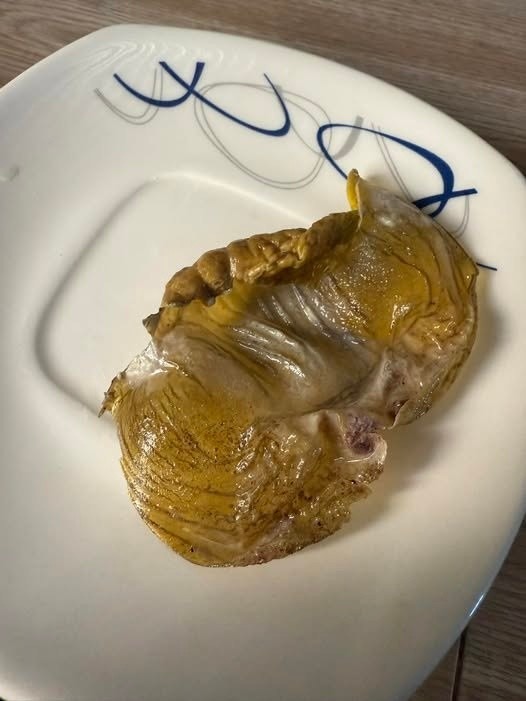 Molleja de gallina de campo para dejar la bebida… Ver más