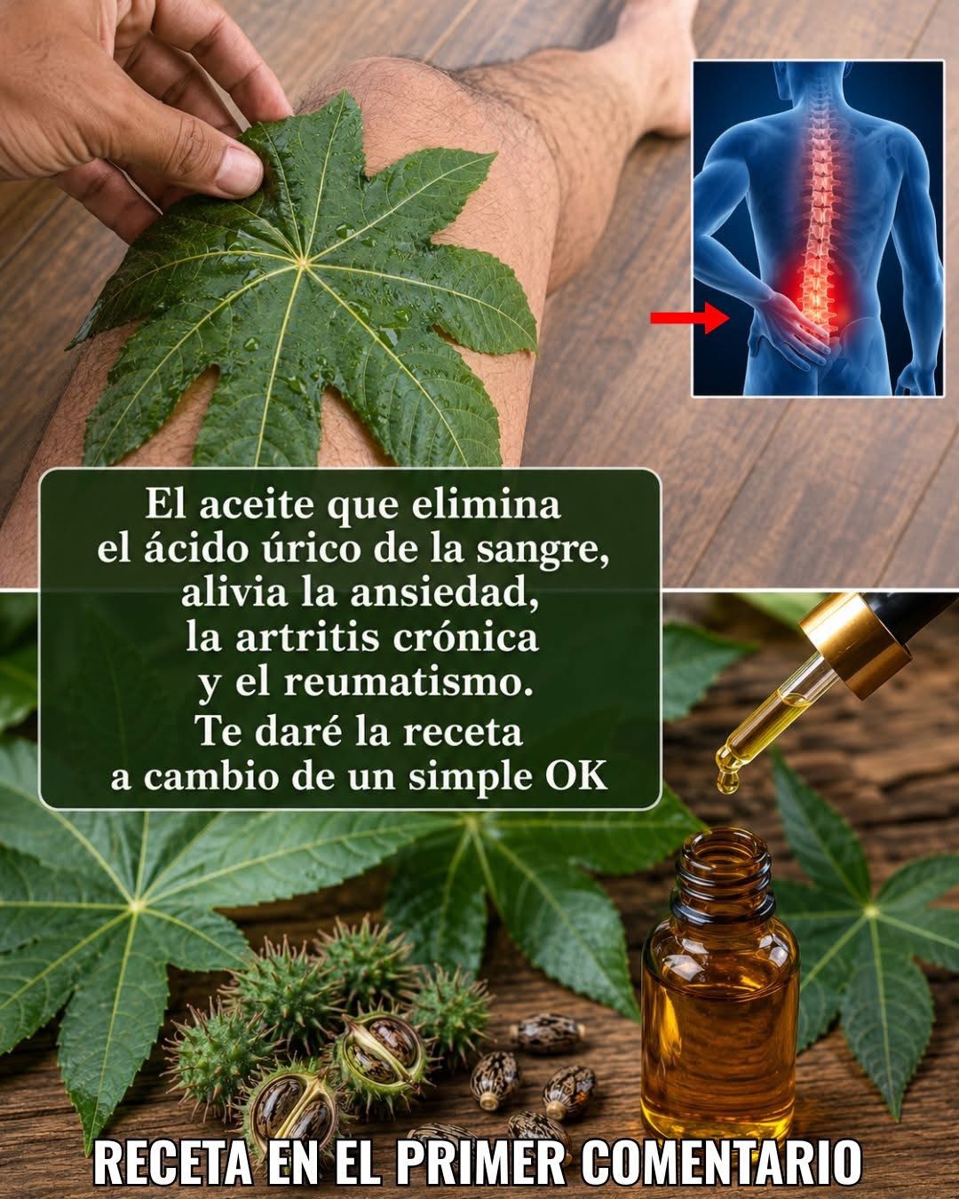 El aceite que elimina el ácido úrico de la sangre, cura la ansiedad, la artritis crónica, reumatismo. Receta en el primer comentario.
