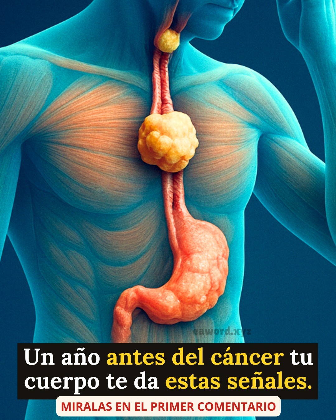 No sabía que esto podía ser un síntoma, del cáncer más silencioso que existe