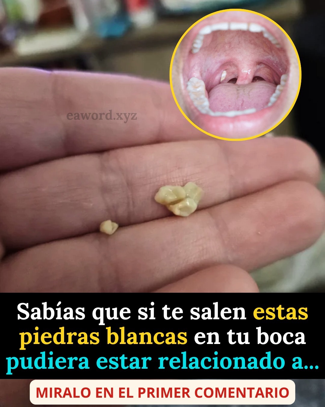 Miralo en el primer comentario…. Ver más